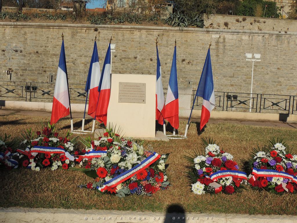 2023 09 25 TOULON  HOMMAGE AUX HARKIS FORCES SUPPLETIVES D ALGERIE (10).JPG -           